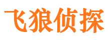 随州外遇调查取证